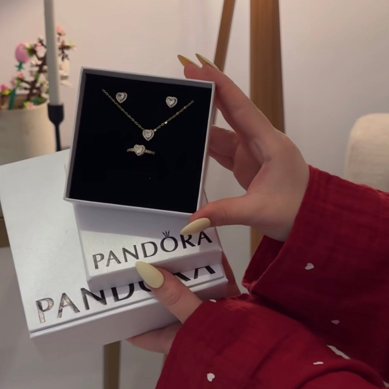 Özel Pandora Kutusunda Zarif Pandora Seti