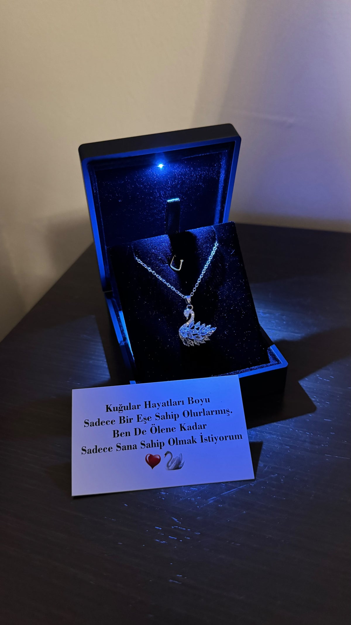 ( Özel Kuğu Notlu ) Işıklı Kutuda Kuğu Kolye