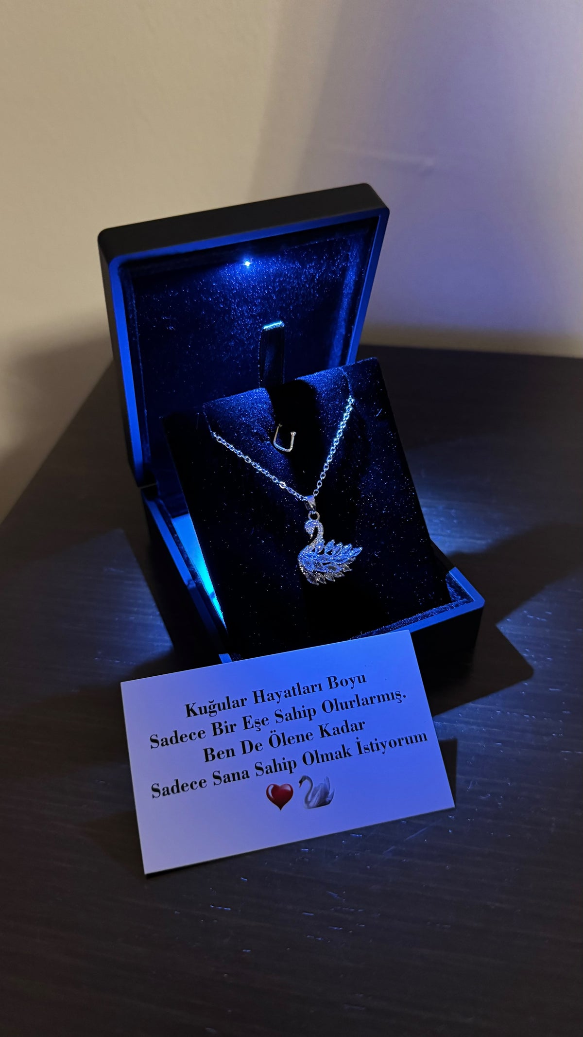 ( Özel Kuğu Notlu ) Işıklı Kutuda Kuğu Kolye