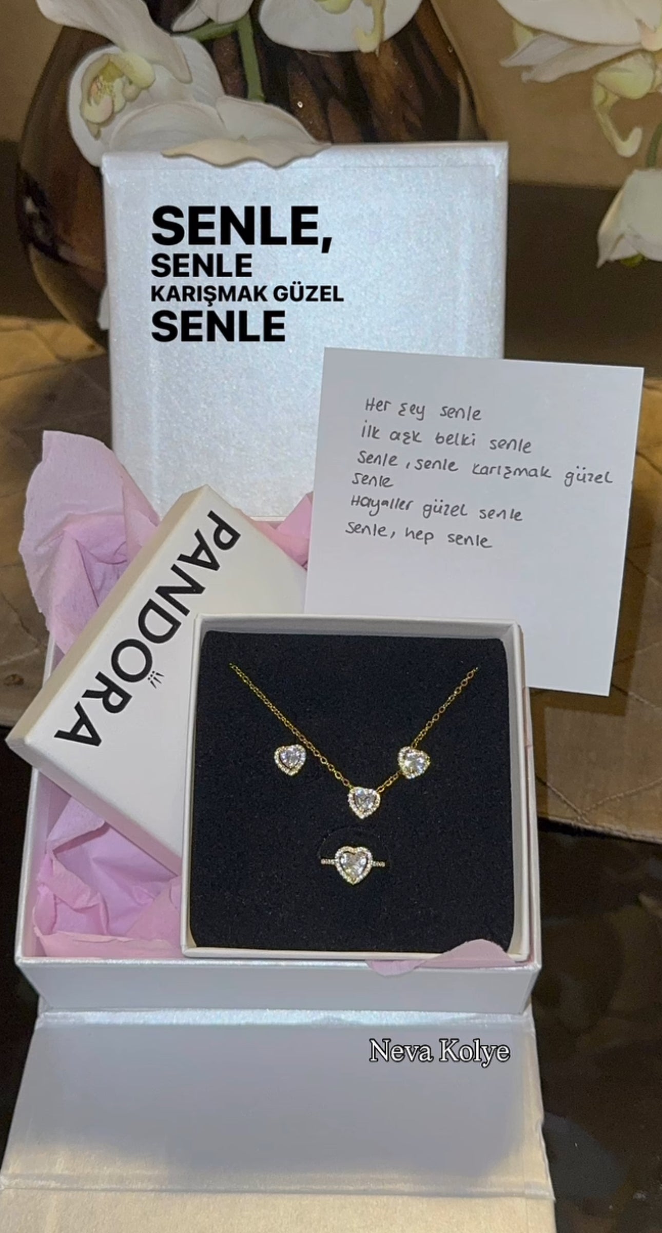 Özel Pandora Kutusunda Pandora Set